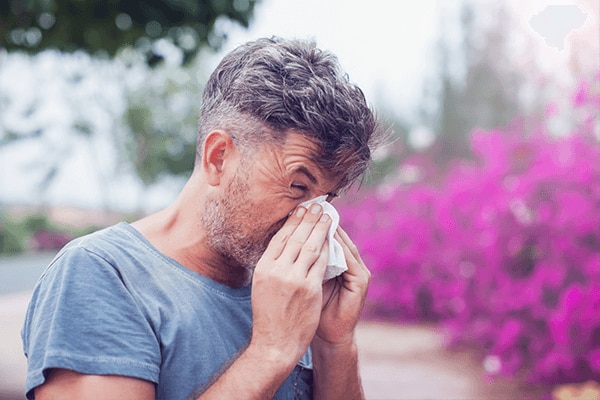 Allergies and sleep apnea: Are hay fever or allergies affecting your CPAP use?